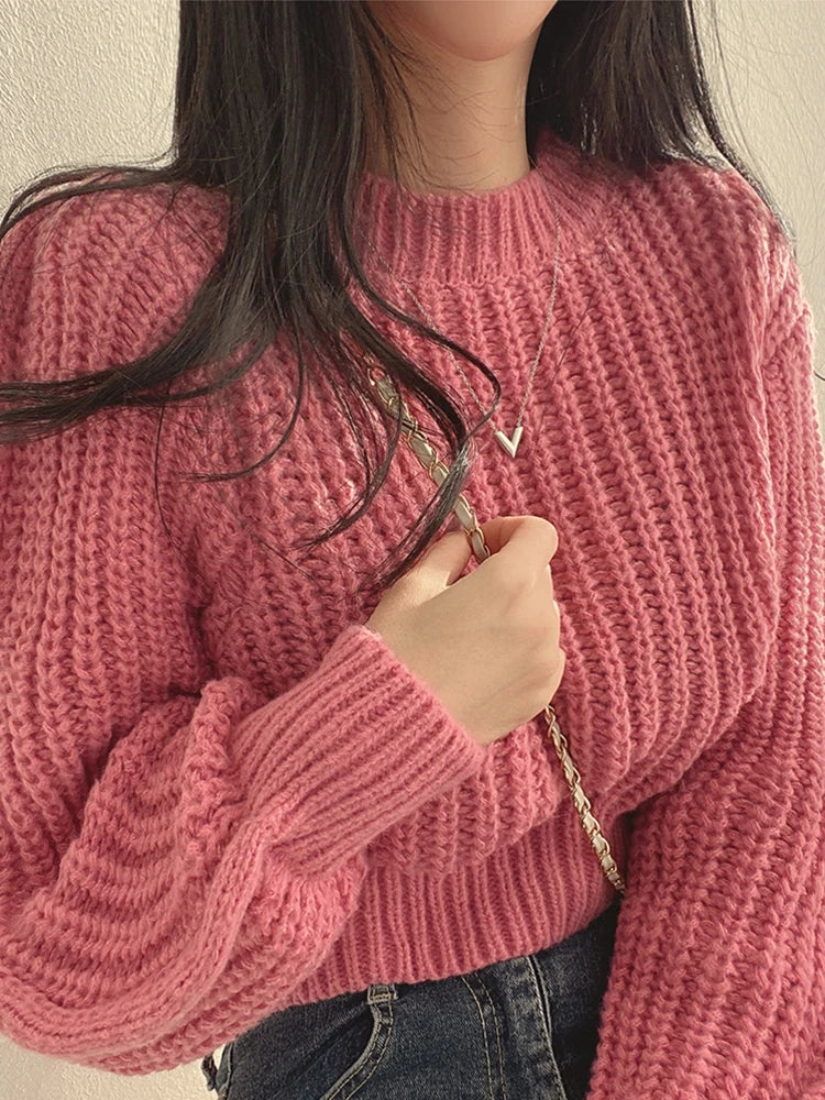 Chic Crop Knit Korean-Inspired Jumper