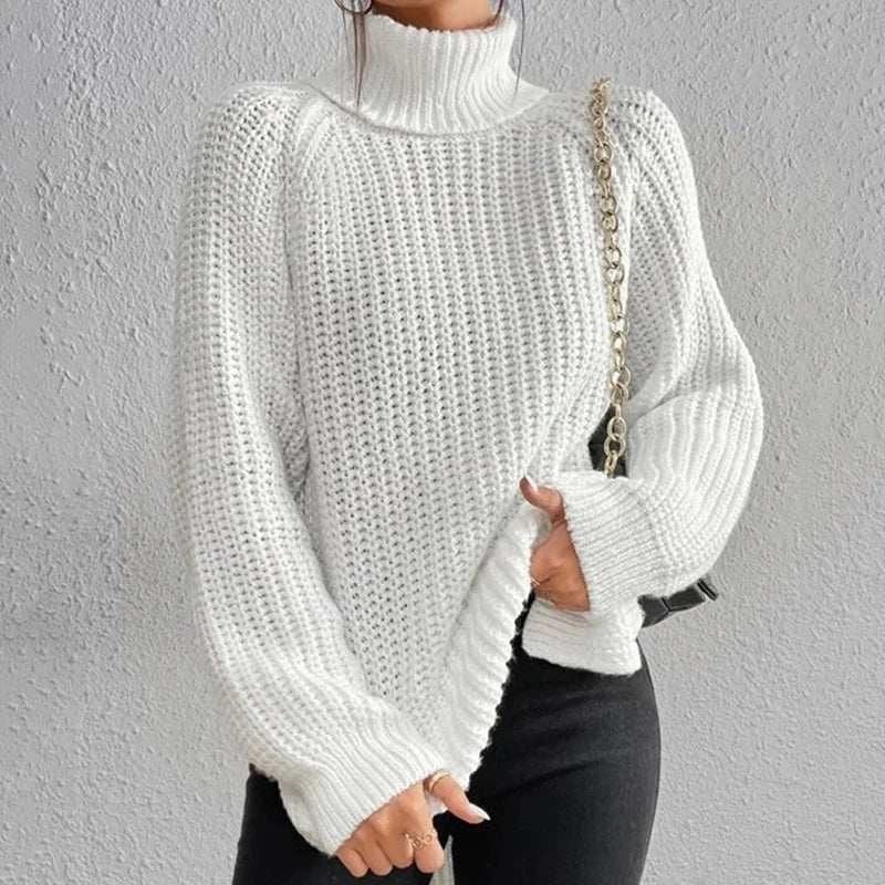 Chunky Turtleneck Sweater