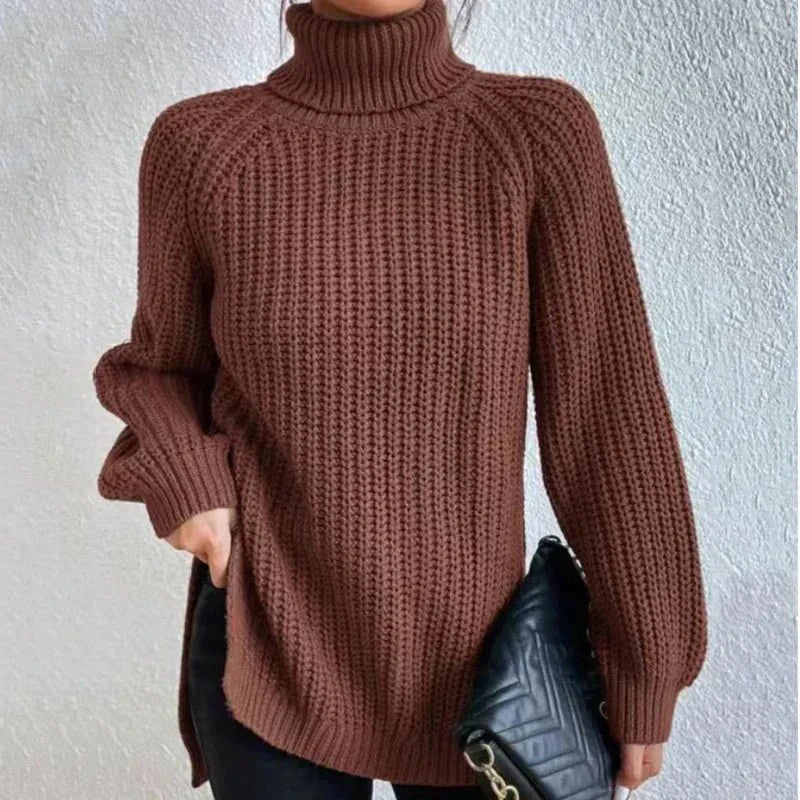 Chunky Turtleneck Sweater