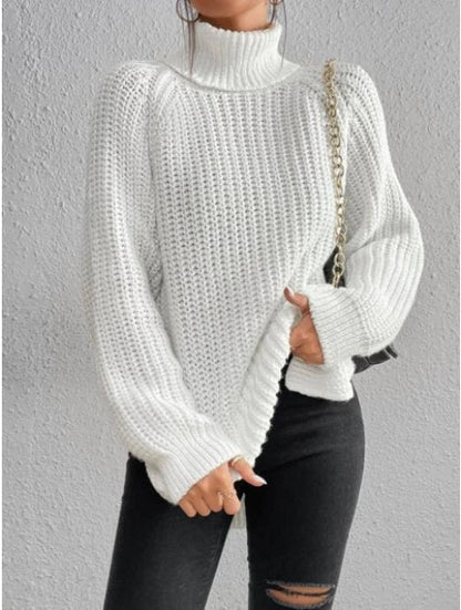 Knit Turtleneck Sweater