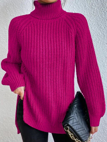 Knit Turtleneck Sweater